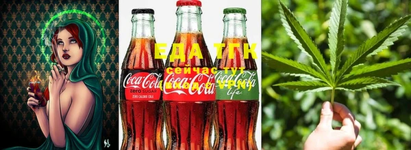 ешки Абаза