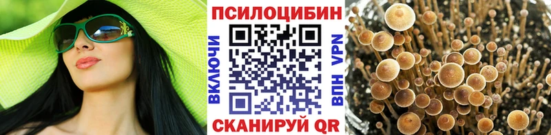 Псилоцибиновые грибы мицелий  Мостовской 